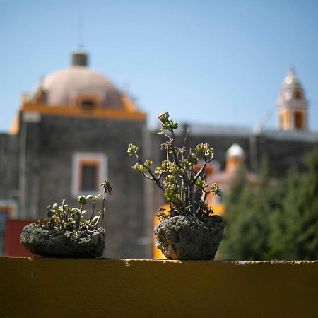 Majikal B&B - La Dona Cholula Exterior foto